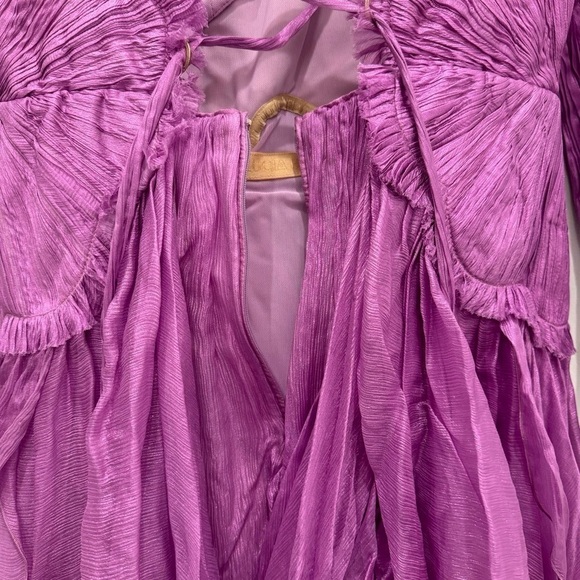 NWT Maria Lucia Hohan Alara Ruffled Minidress - Picture 11 of 16